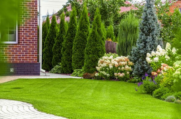 Spring Landscaping in Torrance