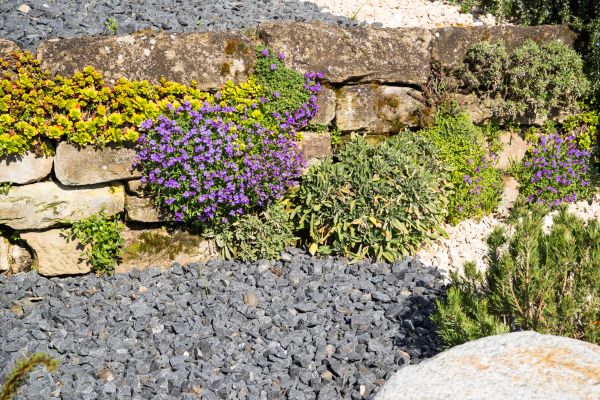 Landscaping Rocks Installation in Torrance