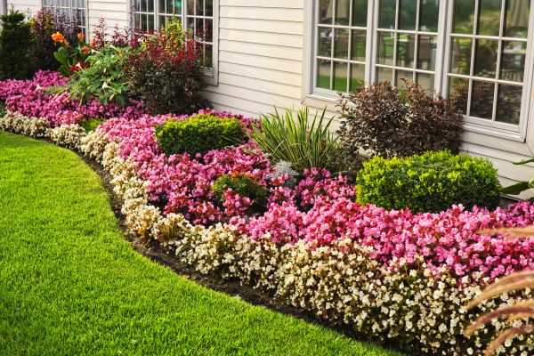 Garden Landscape Design in Torrance