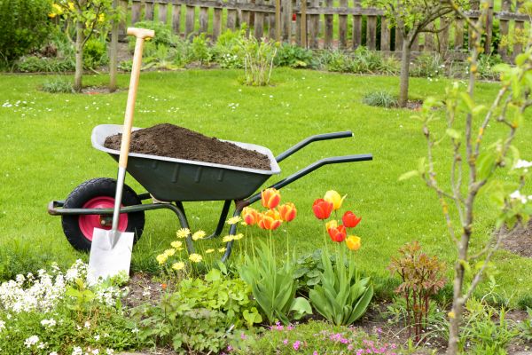 Spring Yard Renovation in Torrance