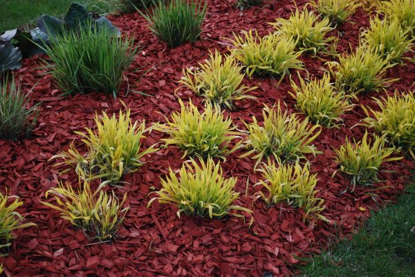 Red Mulch Installation in Torrance