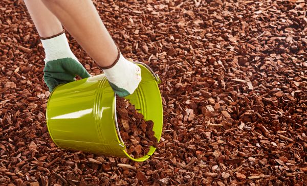 Wood Chip Landscaping in Torrance