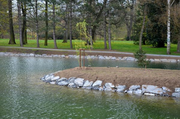 Pond Landscaping Service in Torrance