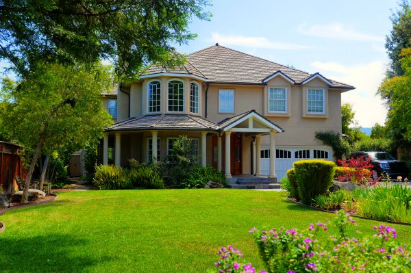 Large Yard Landscaping in Torrance