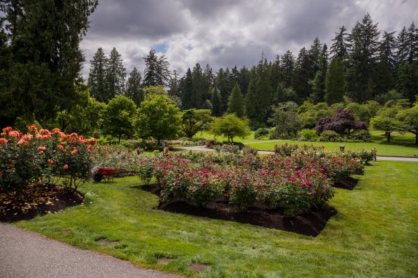 Flower Garden Landscaping in Torrance