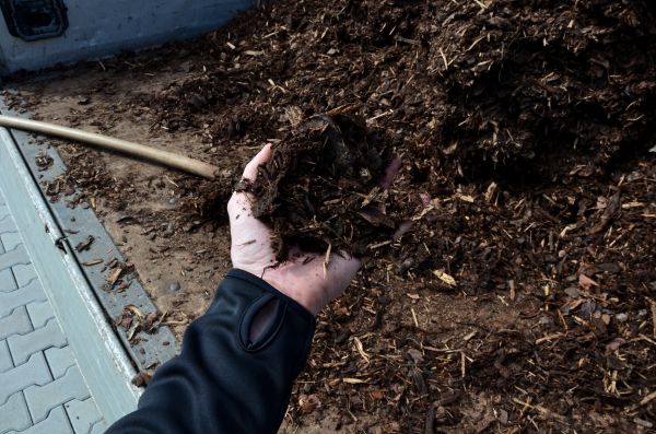 Condo Mulching in Torrance