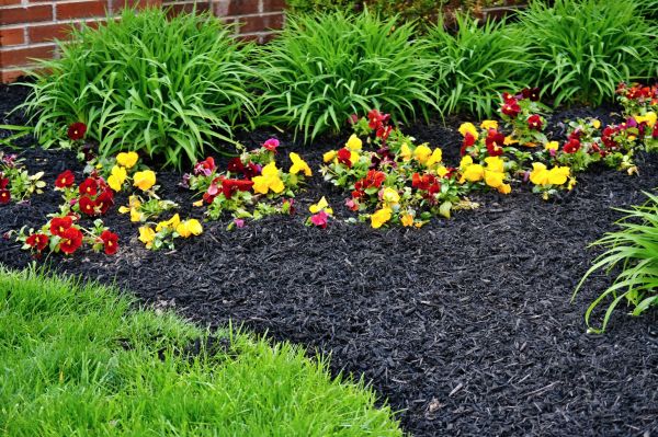 Apartment Mulching in Torrance